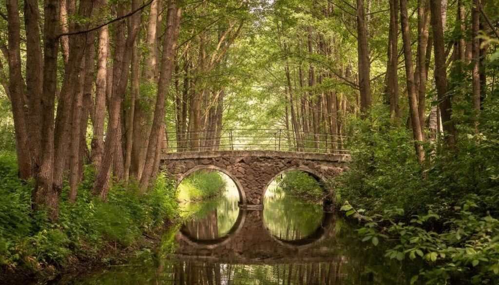 park drozdy minsk