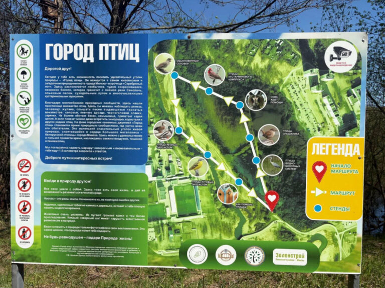 Город птиц в Минске Серебрянка