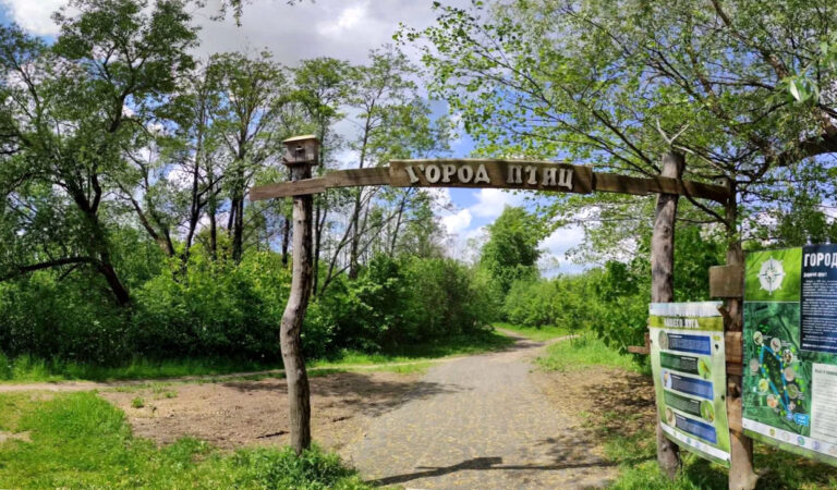 Город птиц в Минске Серебрянка