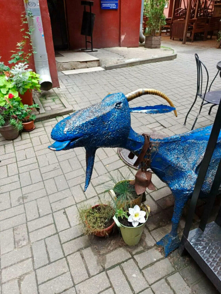Красный дворик в Минске - интересное место Бар Синяя коза
