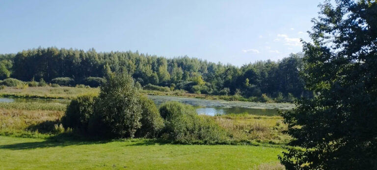 Лошицкий парк. Амфитеатр - красивое место в Минске